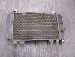 Kuhler Kawasaki ZZR 600