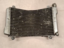 Radiator Suzuki RGV 250