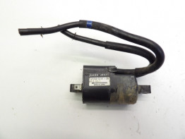 Ignition Coil Suzuki GSF 600 650 Bandit 