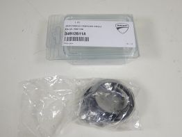 Voorpoot binnen Ducati monster 696