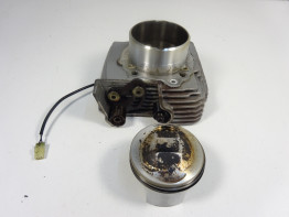 Cilinderblok Ducati monster 696