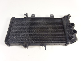 Kuhler BMW F 800 S - ST