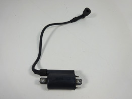 Bobine Ducati monster 600