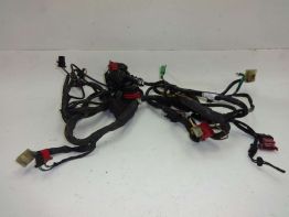 Wire Harness Honda CBR 1000 F
