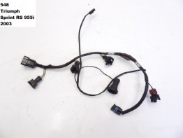 Wire harness front Triumph Sprint RS
