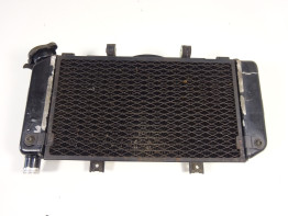Radiateur Yamaha TDM