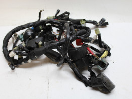 Wire Harness Yamaha XJ 600 Diversion