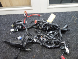 Kabelboom Yamaha XSR 900