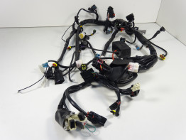 Kabelboom Benelli 302 R