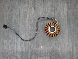 Dynamo Triumph Tiger 1050