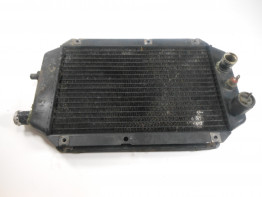 Kuhler Kawasaki VN 800