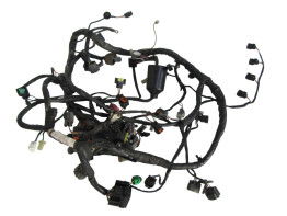 Kabelbaum Kawasaki ZX 6 R