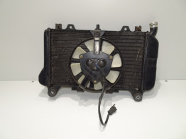 Radiator Kawasaki ZZR 600