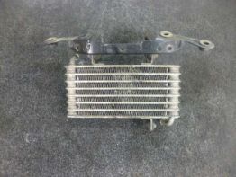 Oliekoeler Aprilia RSV 1000