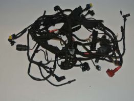 Kabelbaum BMW R 1200 GS