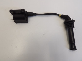 Bobine Triumph Trophy 900