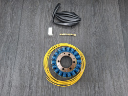 Dynamo Kawasaki ZZR 600