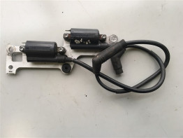 Zundspule Aprilia Tuono 1000