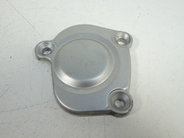 Motorblokdeksel Yamaha FZ1