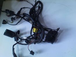 Wire Harness Suzuki GSX F 600
