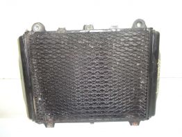 Kuhler Kawasaki GPX 600