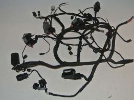 Kabelboom BMW K 1200 S 