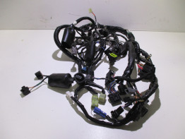 Wire Harness Kawasaki Z 800