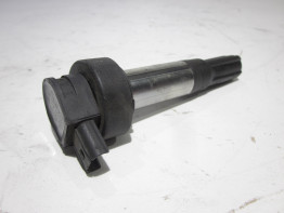 Ignition Coil BMW S 1000 R