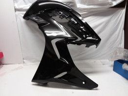 Seiten verkleidung links Yamaha FJR 1300