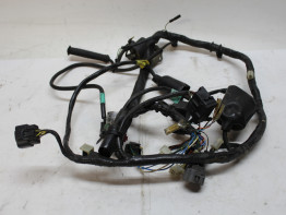 Kabelboom Honda CBF 250