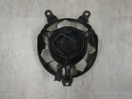 Ventilator Triumph 955 daytona