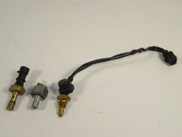 Sensor - Elektronik Triumph Tiger 1050