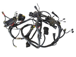 Wire Harness Ducati monster 900