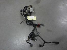 Wire Harness Honda CBR 600 F