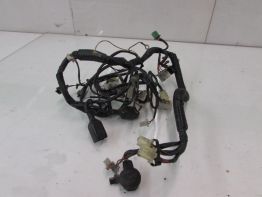 Wire Harness Kawasaki ZZR 250