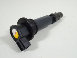 Bobine Triumph Tiger 1050