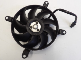 Fan Yamaha FZ6