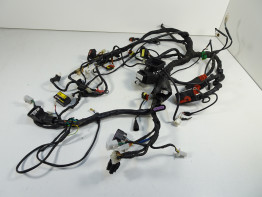 Wire Harness Aprilia Dorsoduro 750