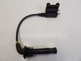 Bobine Triumph Thunderbird 900
