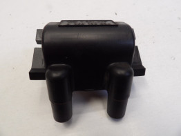 Bobine BMW R 1150 GS