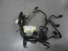 Kabelboom Honda CBR 600 F