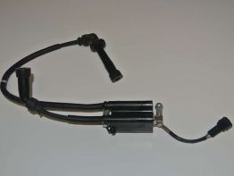 Bobine Suzuki SFV 650 Gladius