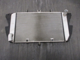 Radiator Kawasaki Z 1000 Sx