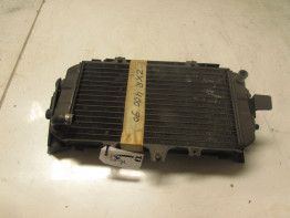 Kuhler Kawasaki ZXR 400