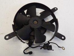 Fan Honda CBR 600 F