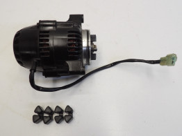 Dynamo Triumph Thunderbird 900