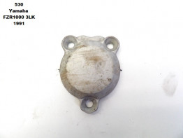 Engine cover Yamaha FZR 1000