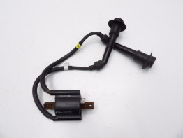 Bobine Yamaha FZR 600