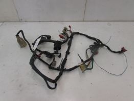 Kabelboom Honda CBR 600 F