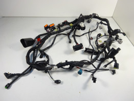 Kabelboom Kawasaki VERSYS 650